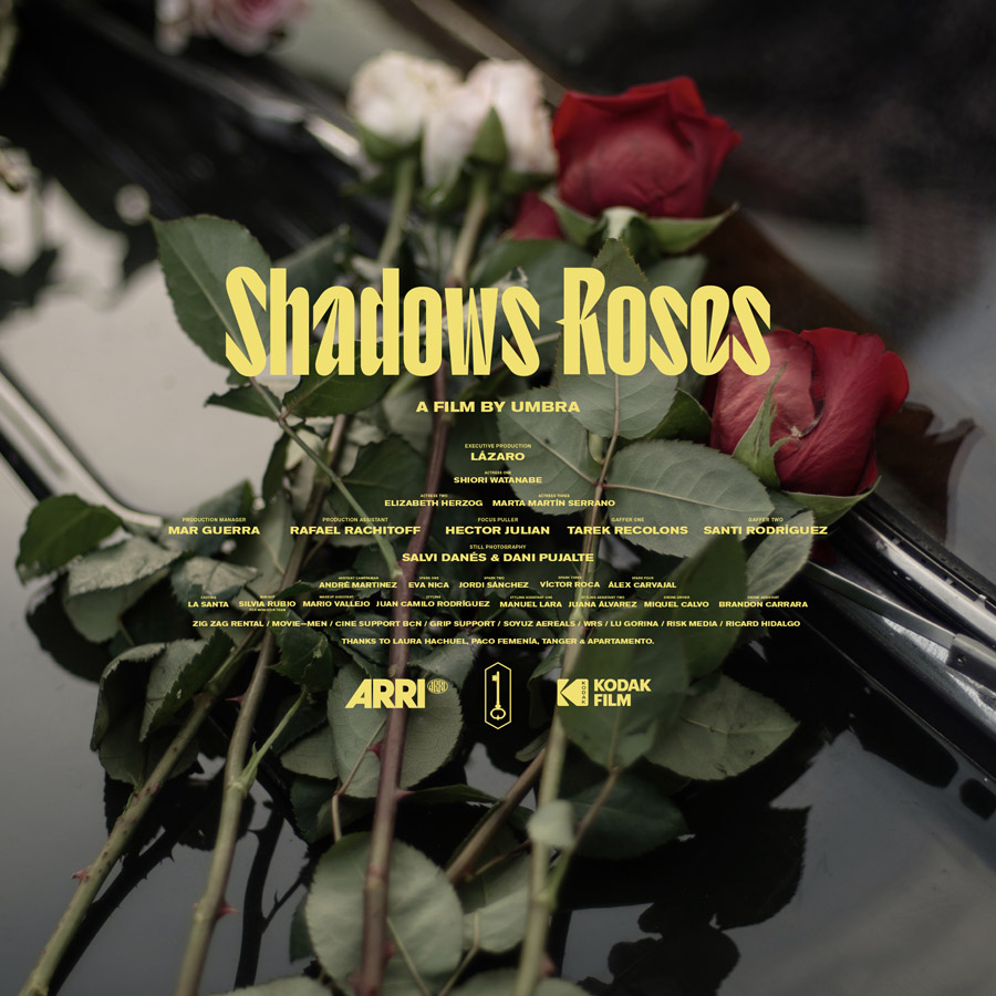 Shadows Roses